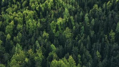 Trek Short Trek Youth M Black Produktbild 6