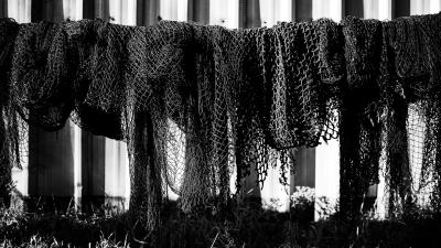 Trek Cage Trek Elite Ocean Recycled Plastic Matte Black Produktbild 2