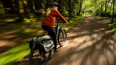 Trek Powerfly FS4EQ EU L 29 Mercury/Dark Web Produktbild 5