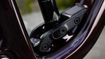 Trek Fuel EX 9.9 X0 AXS M Gloss Dark Carmine/Matte Trek Produktbild 5