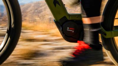 Trek PowerflyFS4 800EU L 29 Mercury/Dark Web Produktbild 2