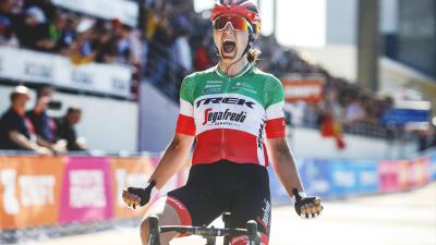 Trek Domane SL 7 54 Ivy Smoke Produktbild 6