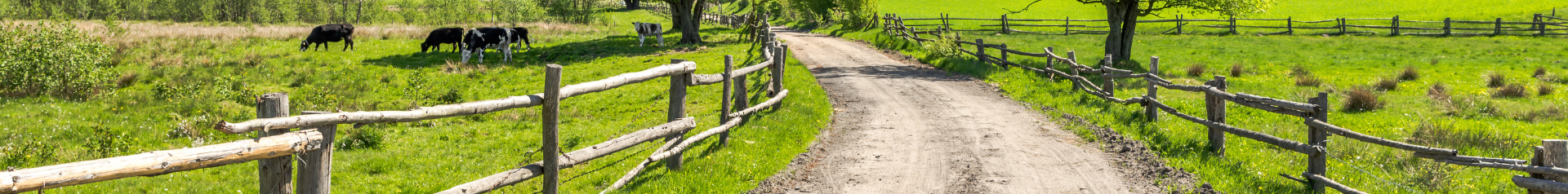  - Radel Bluschke Lingen