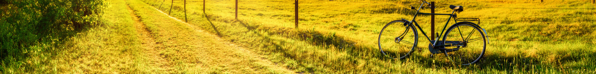  - Radel Bluschke Lingen